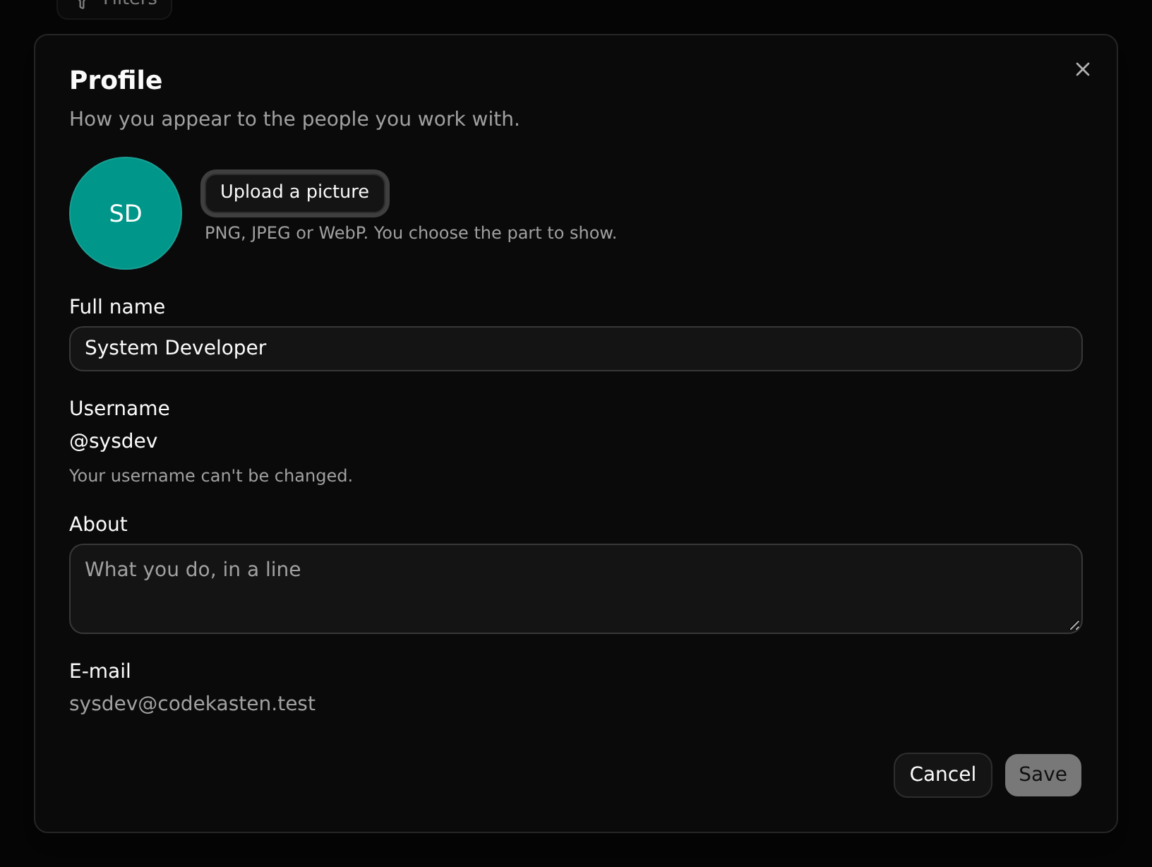 The profile dialog